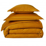 Taie Satin Ambre, FRANCOIS HANS