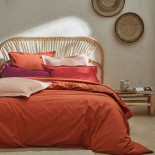 Drap plat Percale Pétale, FRANCOIS HANS