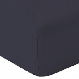 DRAP HOUSSE COTON CALVI UNI ANTHRACITE, TOISON D'OR